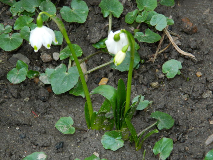 DSCN5893 - 2015_MARTIE