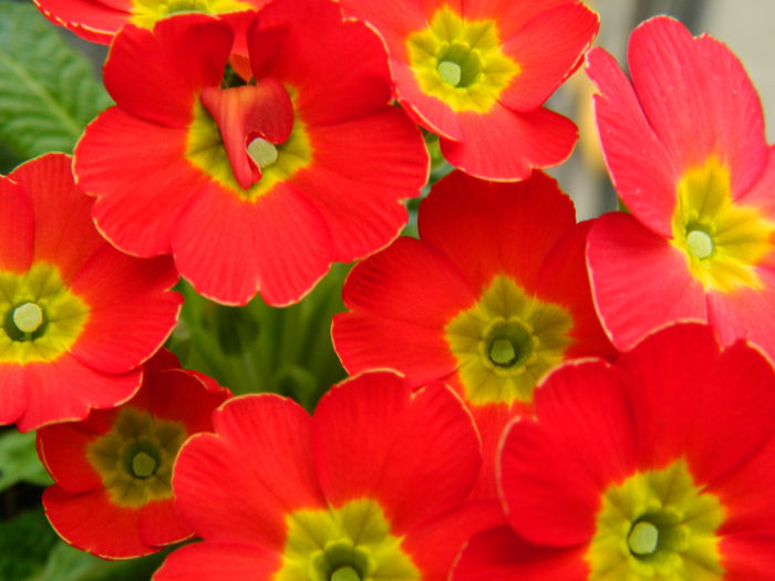 DSCN5907 - 2015_MARTIE