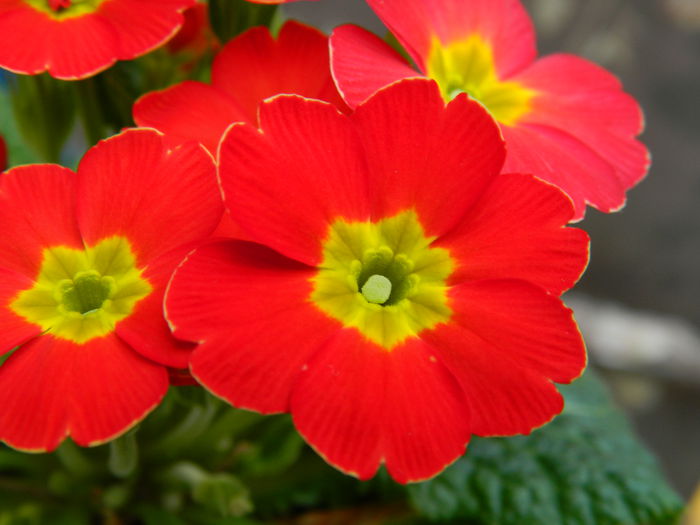 DSCN5908 - 2015_MARTIE