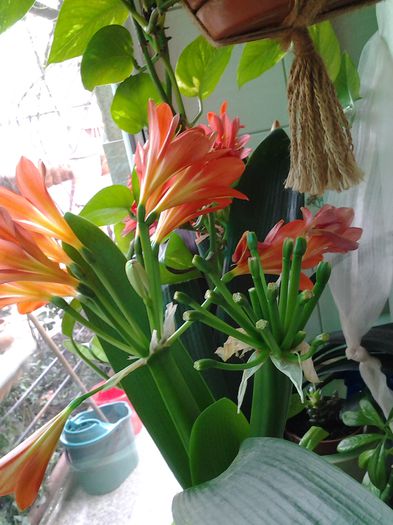 incepem sa ne scuturam..gata spectacolul,,,data viitoare vom fi si mai frumoase..