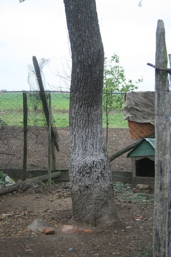 IMG_1070 - Scoala Altfel 2014