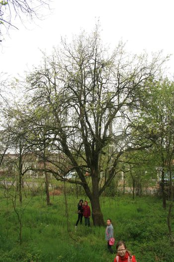 IMG_1111 - Scoala Altfel 2014