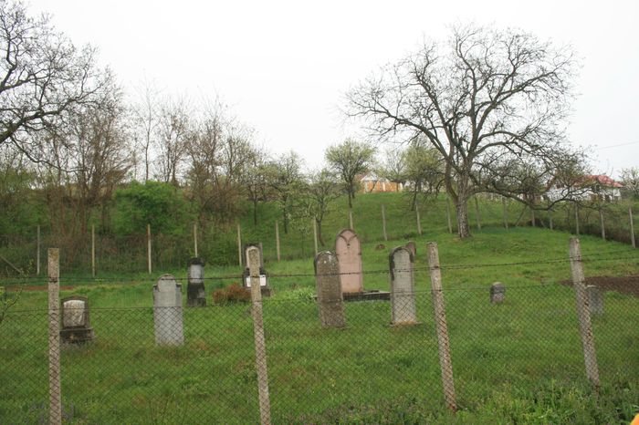 IMG_1114 - Scoala Altfel 2014