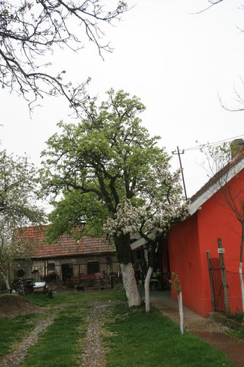 IMG_1117 - Scoala Altfel 2014