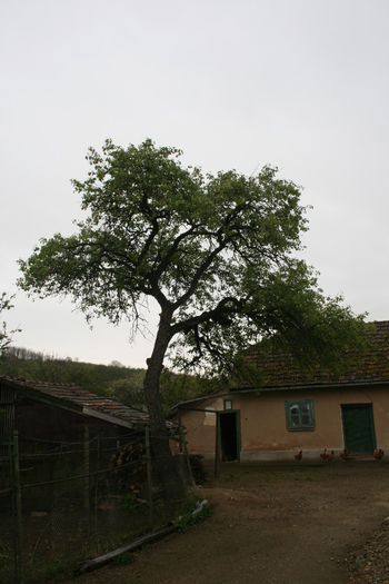 IMG_1121 - Scoala Altfel 2014