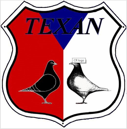 texan club - PERECHEA 12_Alb putin stropit si Rosu ciocanit_pentru 2017