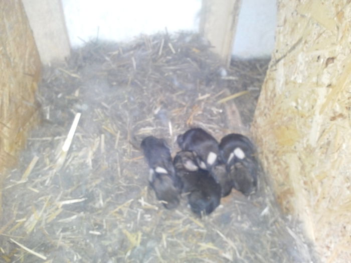 IMG_20150305_110824748