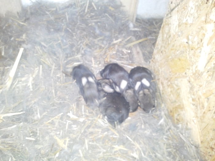 IMG_20150305_110815865