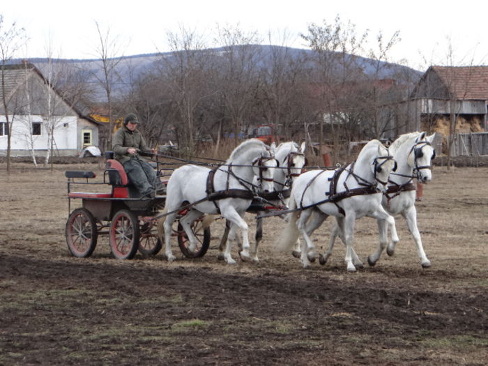 Marshal & Fabula in front