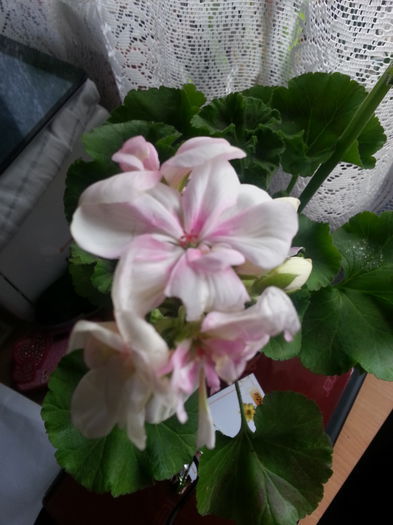 20150303_023303