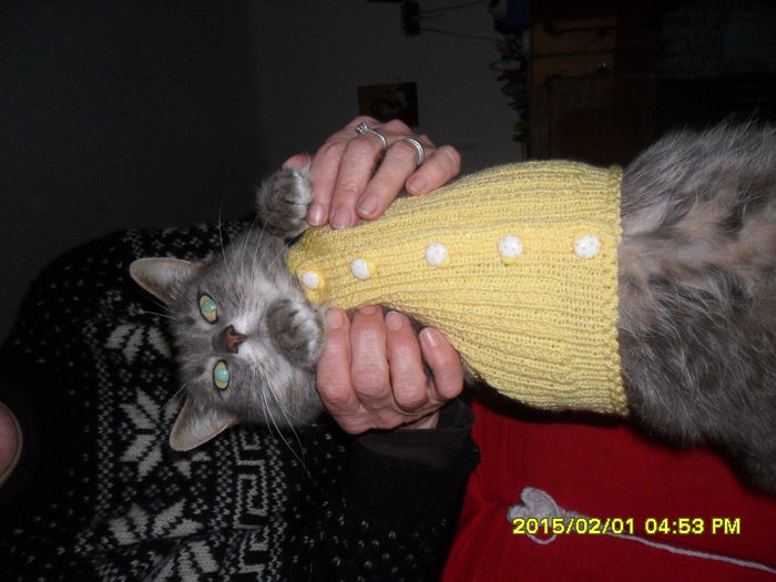 SAM_8307 - ultimile tricotaje
