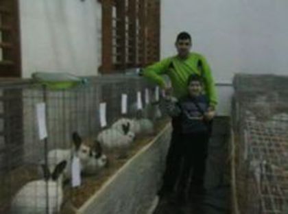 EXPO 2014 MARAMURES - EXPOZITII MARAMURES