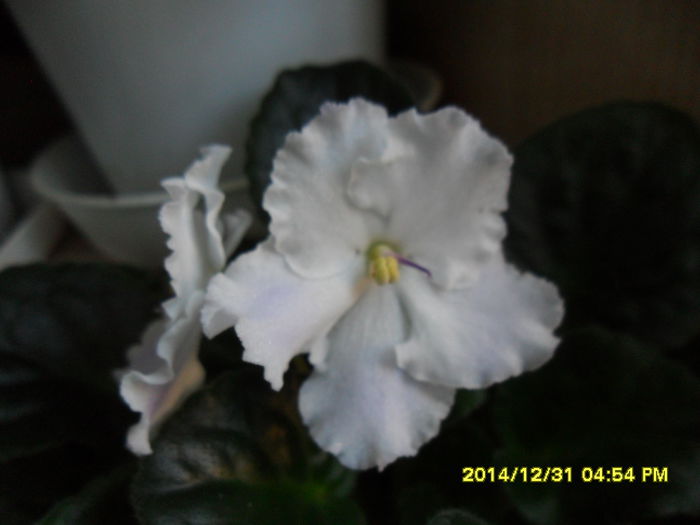 SAM_8045