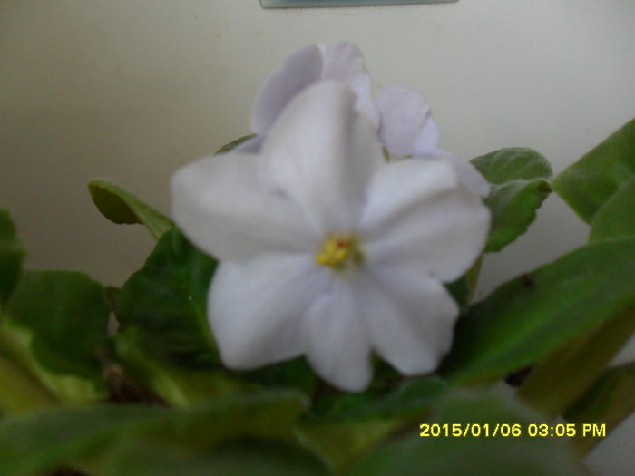 SAM_8070