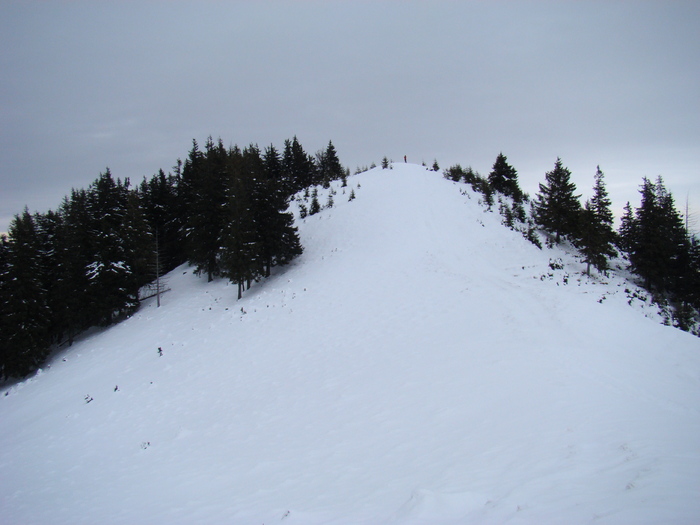 DSC04791
