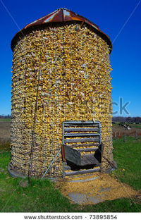 stock-photo-corn-crib-a-wire-mesh-corn-storage-bin-is-filled-to-the-top-after-fall-harvest-73895854 - cotet si anexe