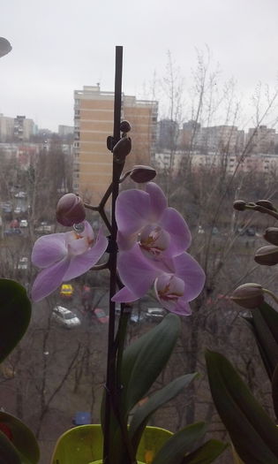 CAM00431