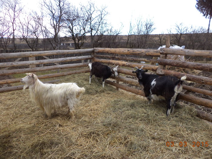 Toate mai trebuie sa fete - FATARI ALPINELE-2015-IEZISORII