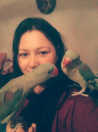 IMG_20150307_000317 - Marele Alexandru