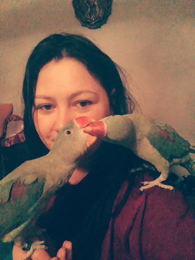 IMG_20150307_000438 - Marele Alexandru