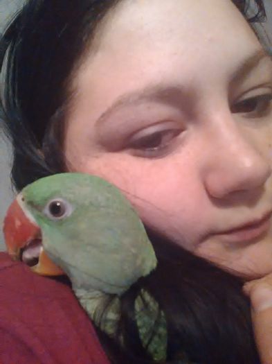 IMG_20150306_230203 - Marele Alexandru