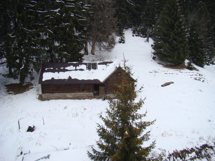 DSC04895