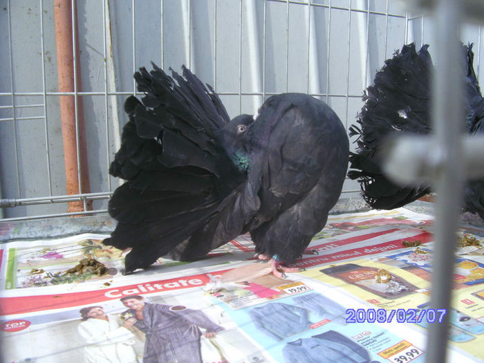 BILD2429