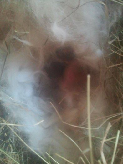 11051576_783590365070476_739023916_n