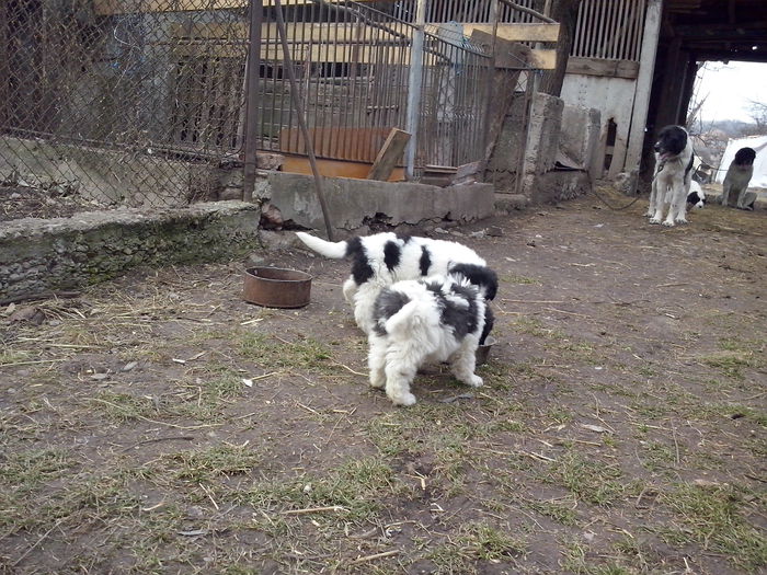 CAM04460