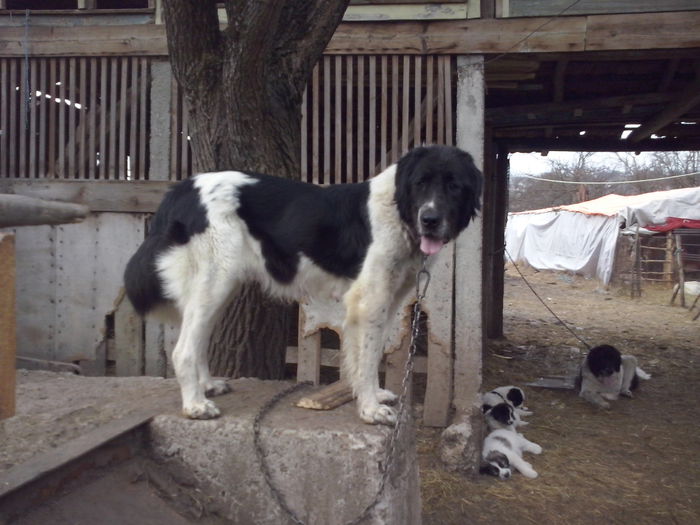 CAM04470