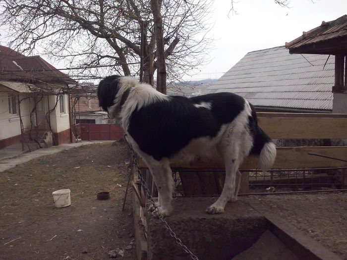 CAM04473