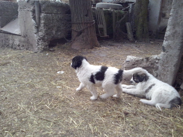 CAM04478