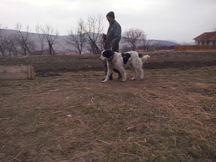 CAM04508