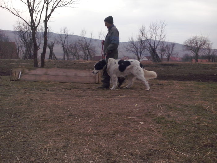 CAM04509