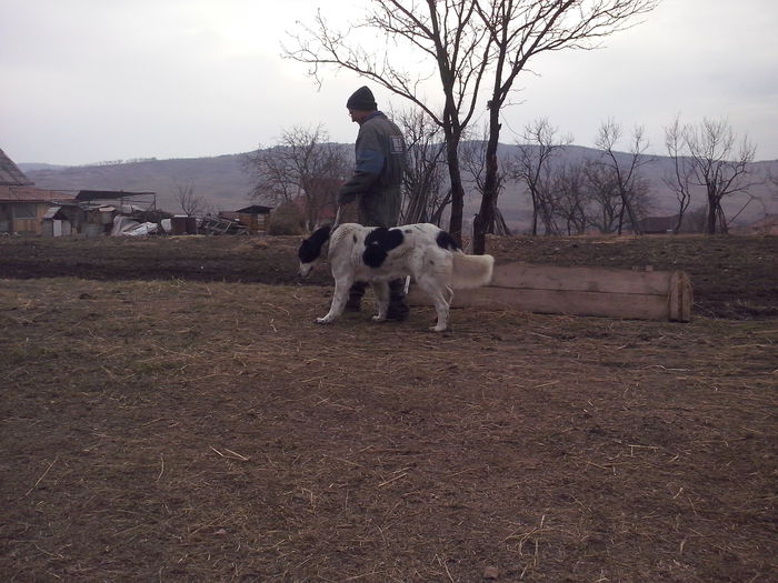 CAM04510