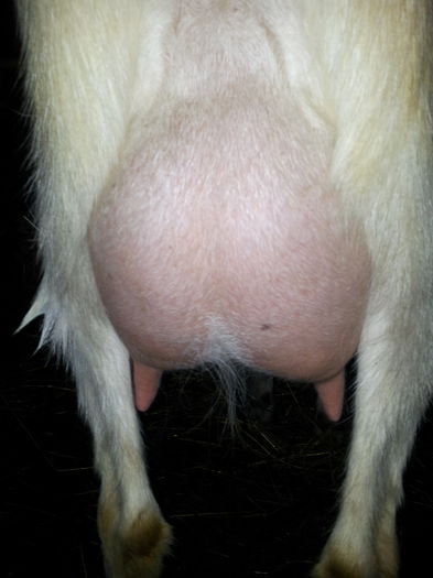 Prima fatare la un an