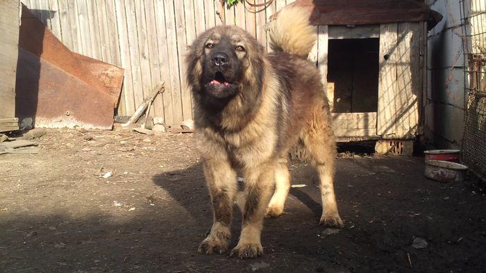 vlcsnap-2014-10-21-17h25m46s67