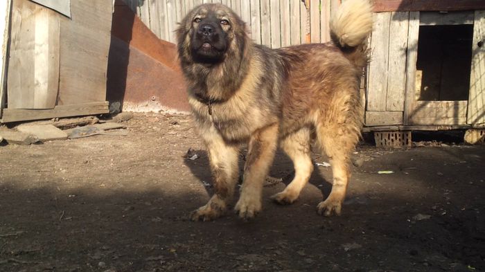 vlcsnap-2014-10-21-17h30m46s195