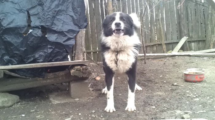 vlcsnap-2015-02-20-15h23m25s153