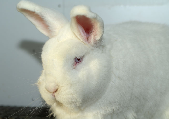 DUM_3455; Inca naparlim :)
