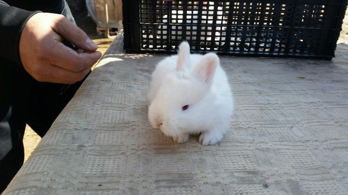 18105_622315524568253_8262442351542019652_n