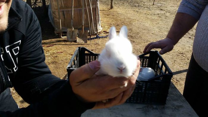 11034195_622315561234916_7571171636564615822_n