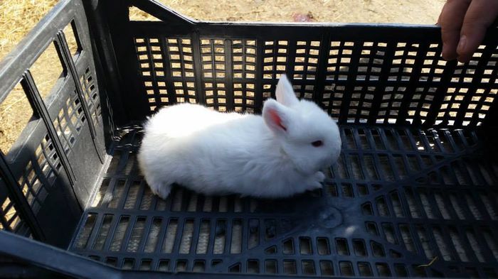 11045336_622315601234912_7902109575975392412_n