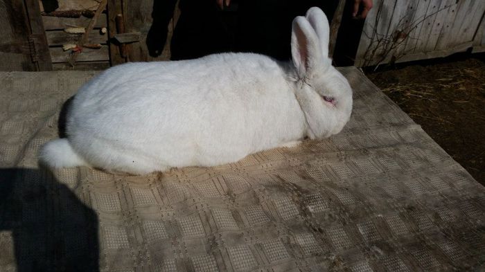 10380988_622314944568311_3977085088212213419_n