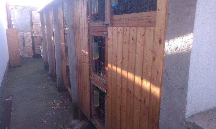 Vechile Custi inanite de renovare