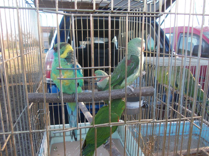 DSCN0187