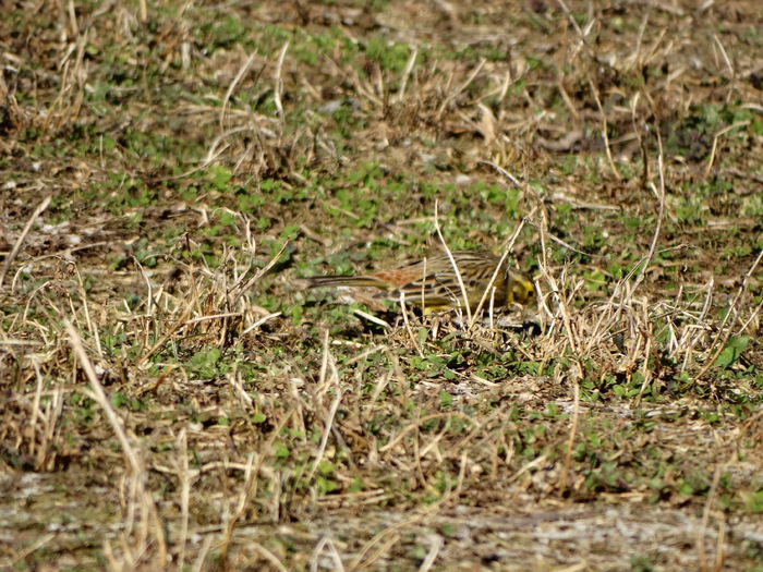 DSC09320