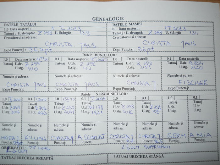 Ro 196 LG124(F5); linie Killian+Fisher!!
