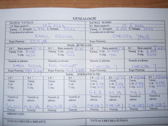 Ro 77 1520(F6); linie Karol Bolya!!
