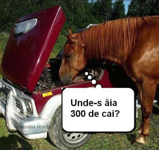 530569_335695763203002_1847556719_n - A   despre gusturi nu discutam